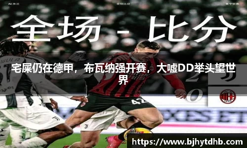 熊猫体育平台