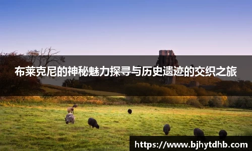 布莱克尼的神秘魅力探寻与历史遗迹的交织之旅