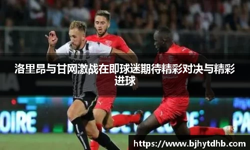 熊猫体育