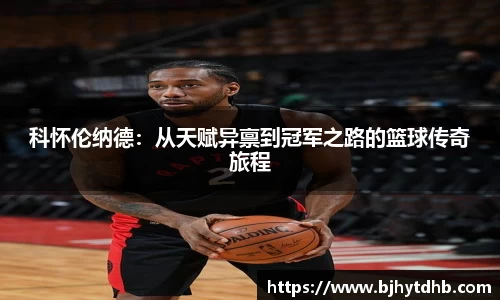 熊猫体育官网入口