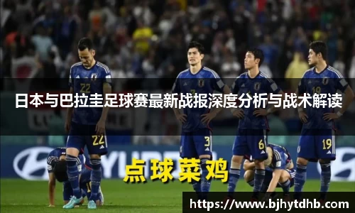 熊猫体育官网入口