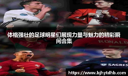 熊猫体育官网入口